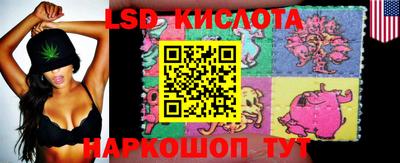 шишки Славянск-на-Кубани