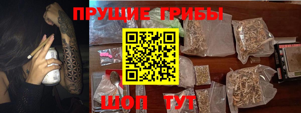 Псилоцибиновые грибы Cubensis  Вход с VPN  Аргун  Псилоцибиновые грибы Cubensis 
